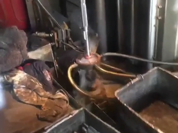 ���l���C���S����O��