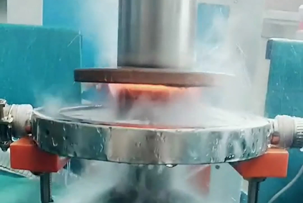 �����l���C�����S����̎��